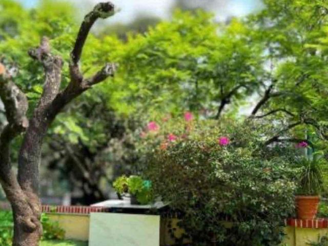 place photo 40