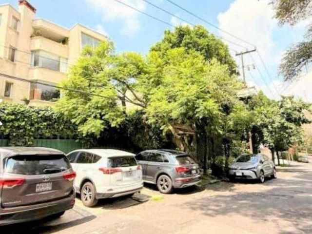 place photo 42