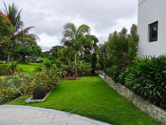 place photo 61