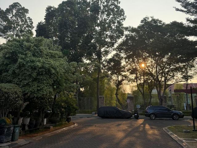 place photo 34
