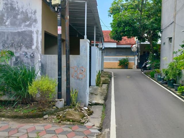 place photo 13