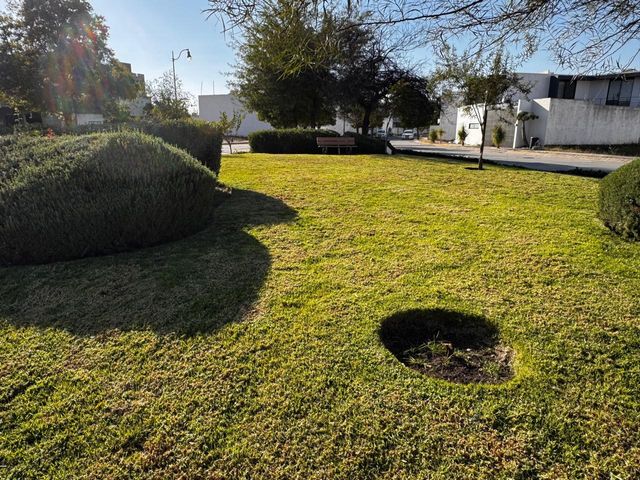 place photo 47