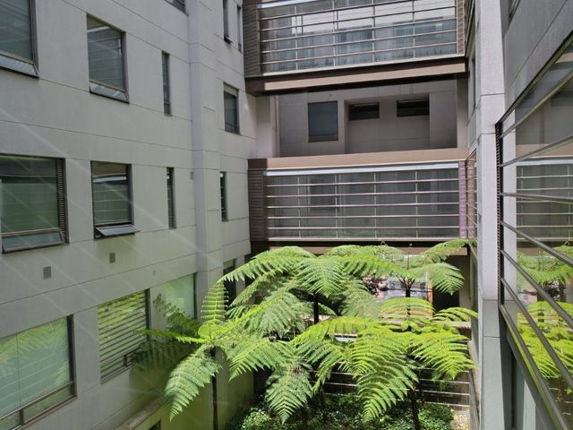 place photo 41