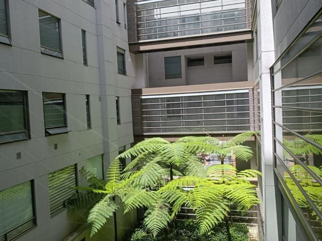 place photo 38