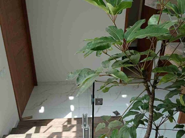 place photo 50