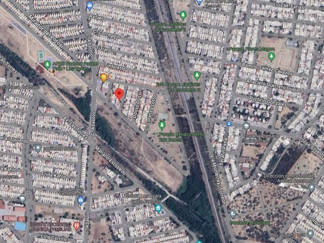 place photo 11