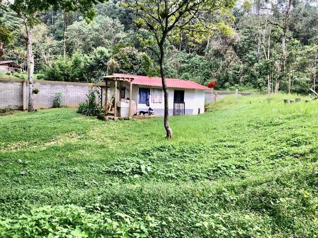 place photo 45