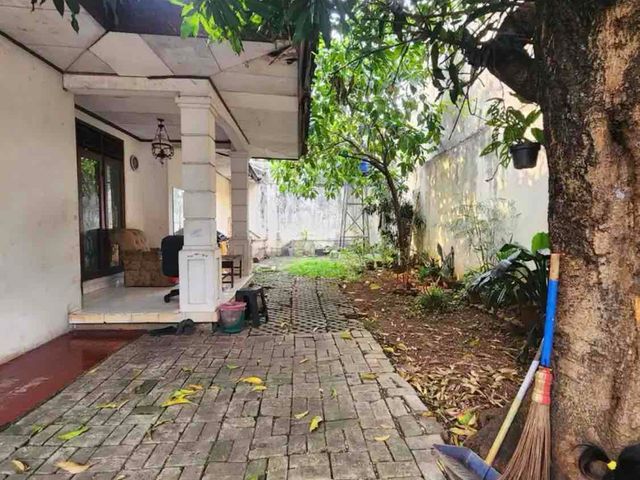 place photo 6