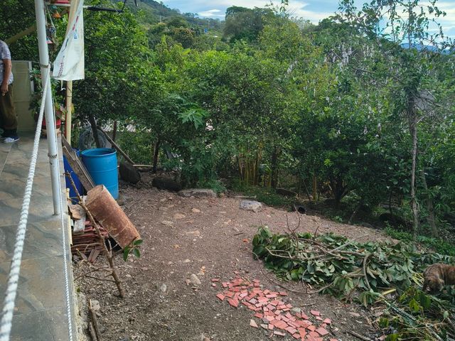 place photo 28