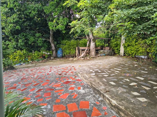 place photo 14