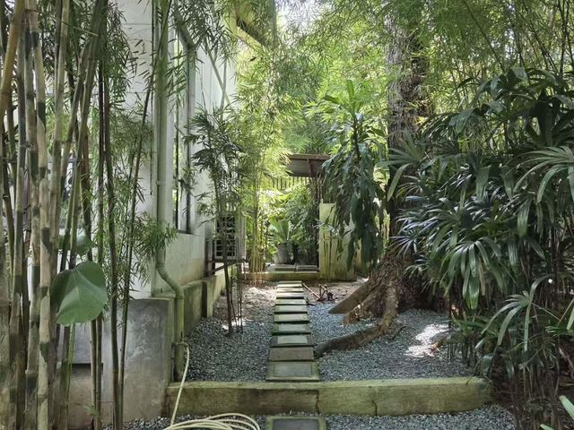 place photo 33