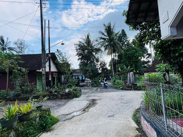 place photo 9