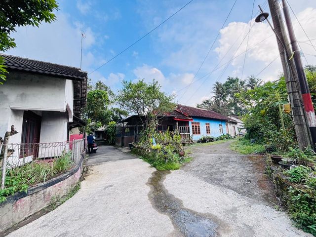 place photo 12