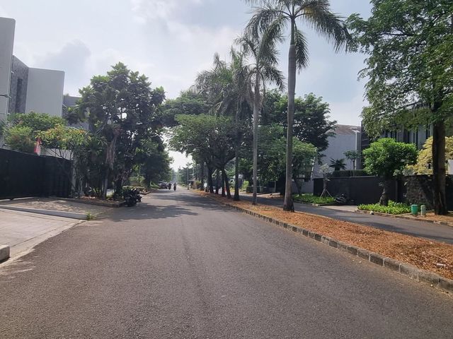 place photo 19
