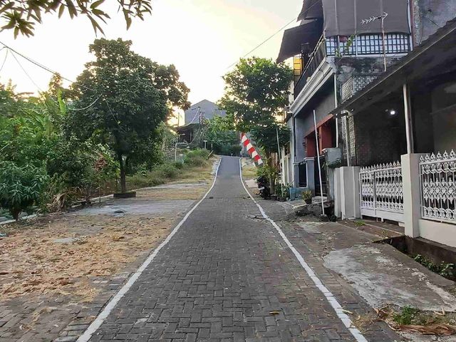 place photo 5