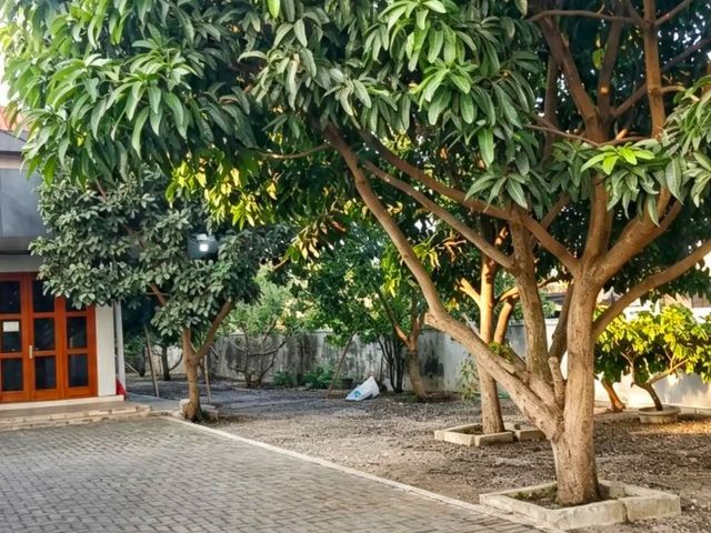 place photo 23