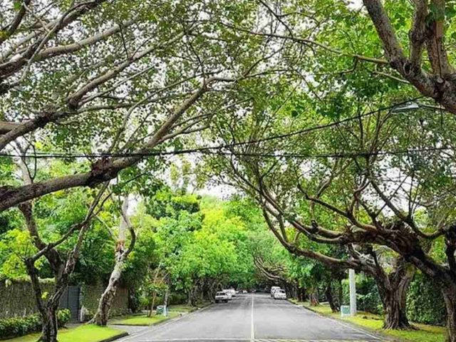 FORBES PARK VILLAGE MAKATI HOUSE FOR SALE