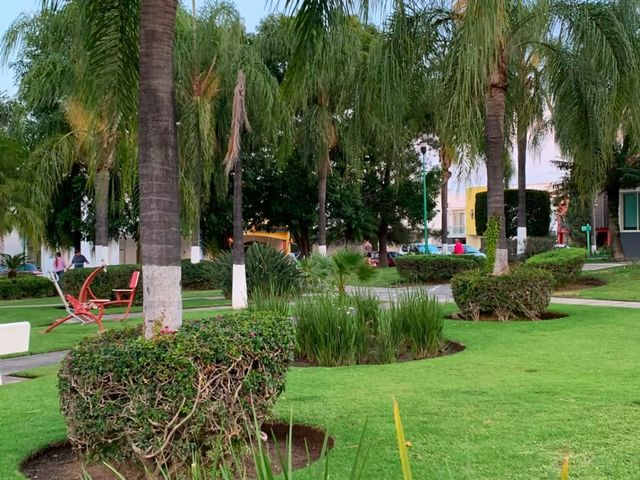 place photo 23
