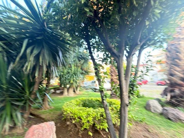 place photo 40
