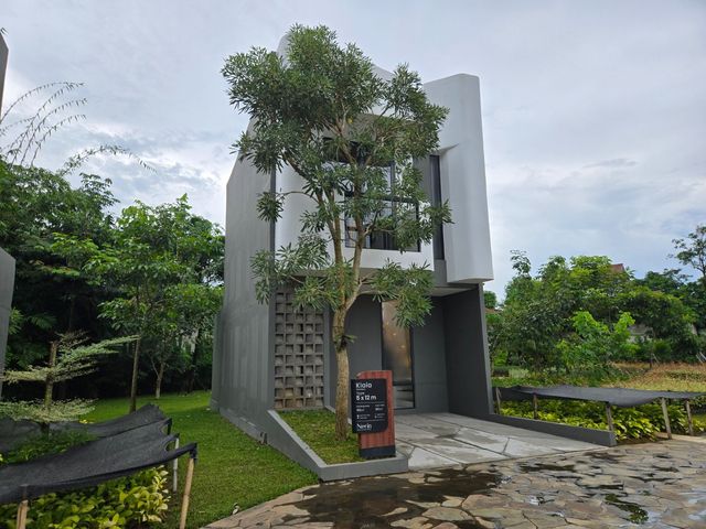 place photo 36