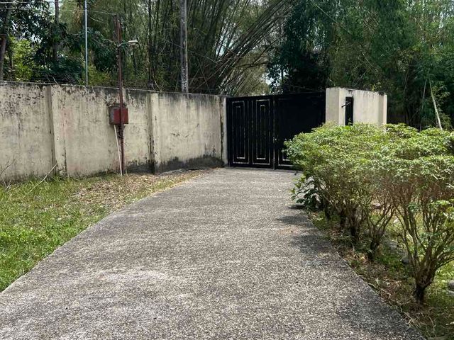 place photo 44