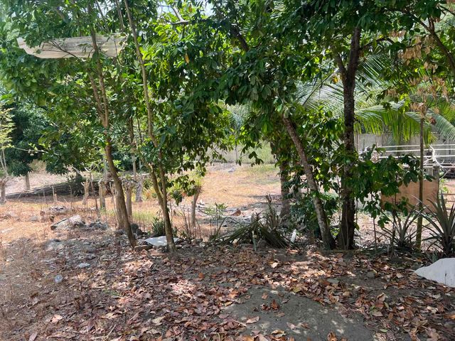 place photo 47