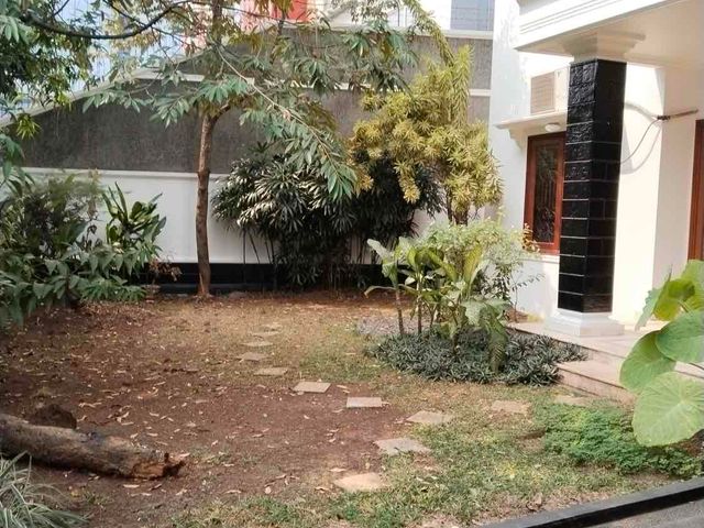 place photo 28