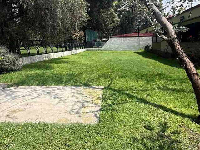 place photo 45