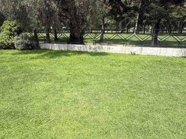 place photo 47