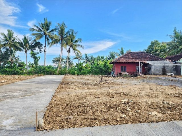 place photo 6