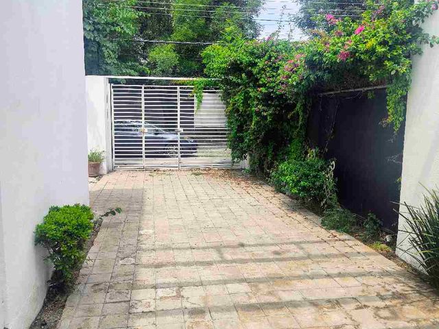 place photo 24