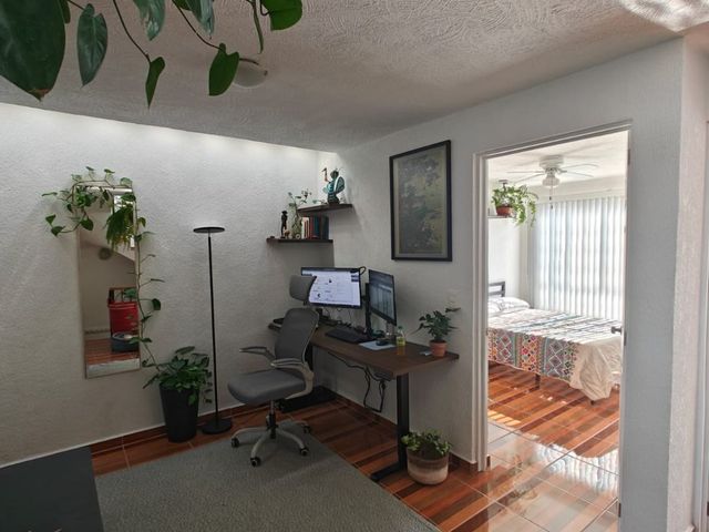 place photo 26