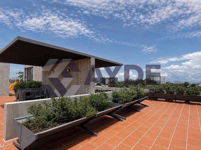 place photo 36