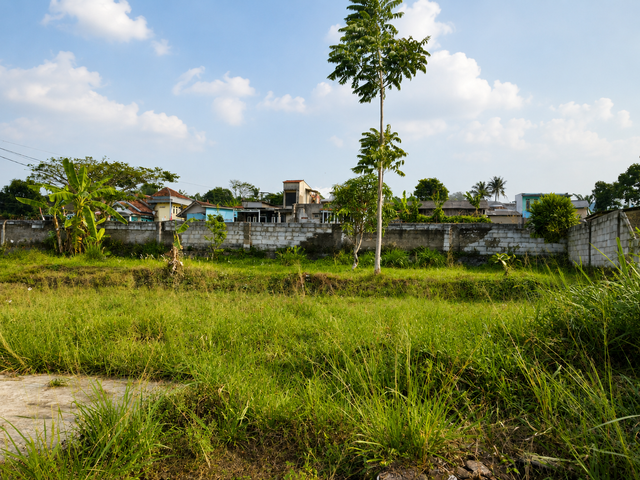 place photo 16