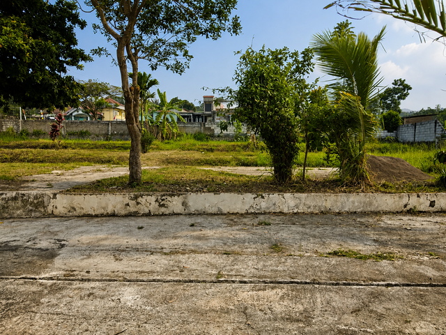 place photo 18