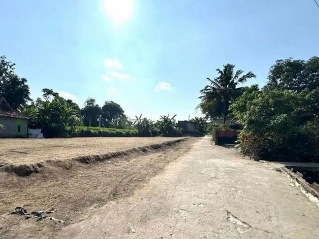place photo 8