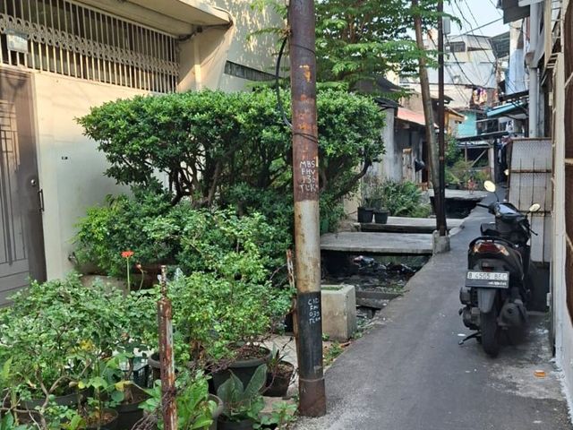 place photo 13