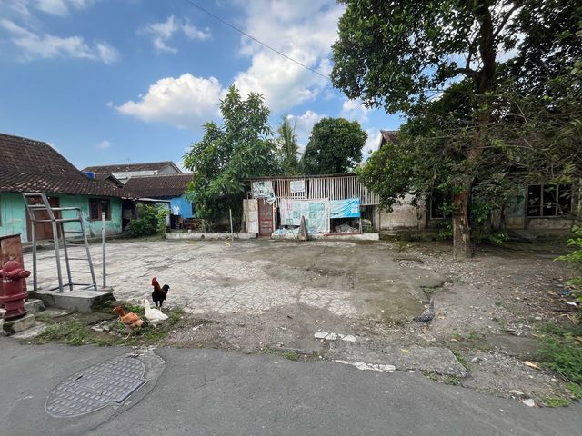 place photo 9