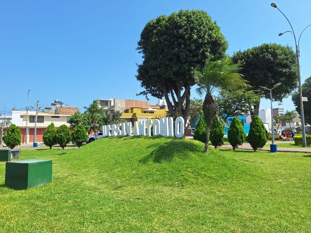 place photo 36