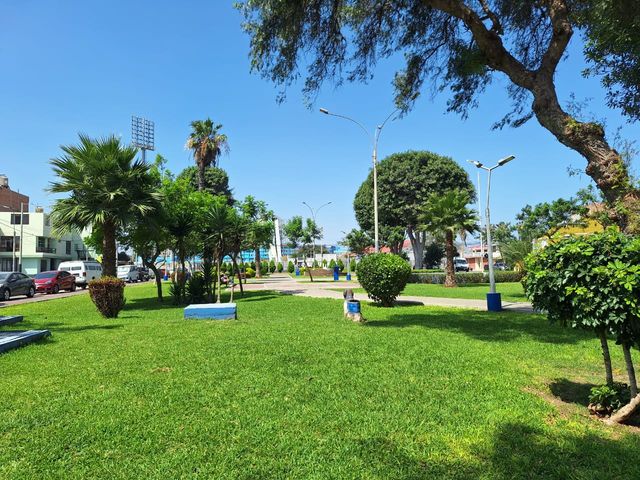 place photo 37
