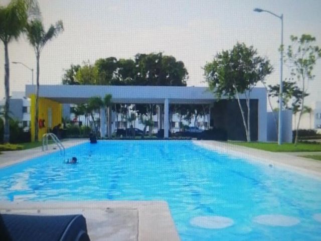 place photo 31