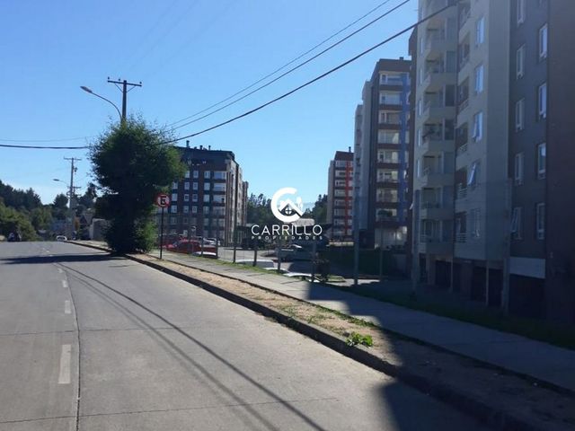 place photo 17