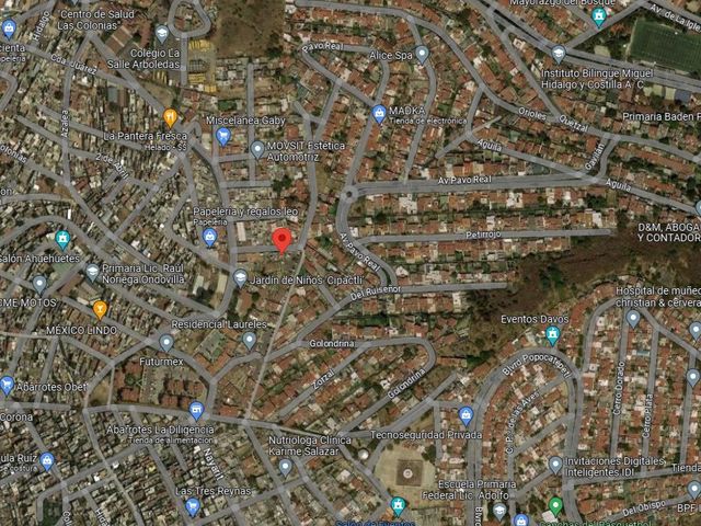 place photo 6