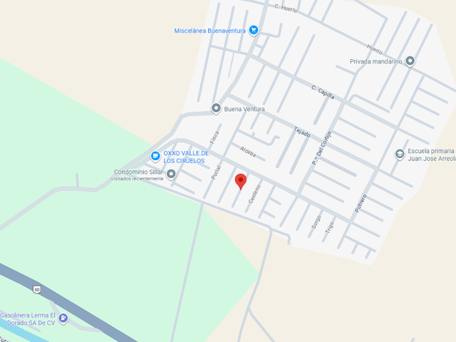 place photo 7