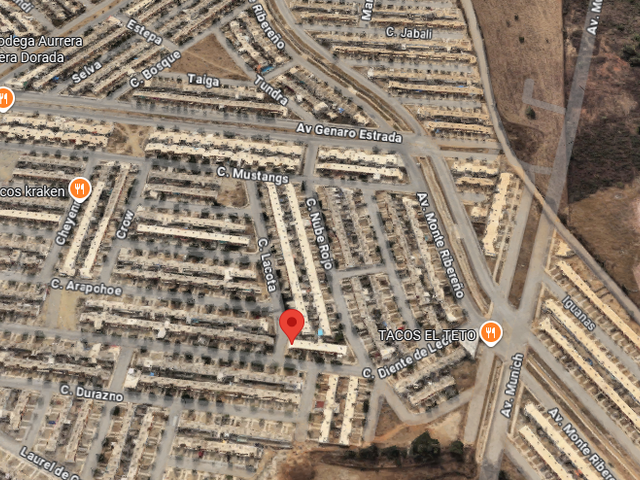 place photo 10
