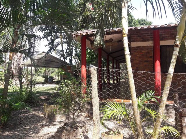 place photo 27