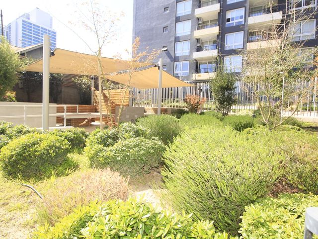 place photo 27
