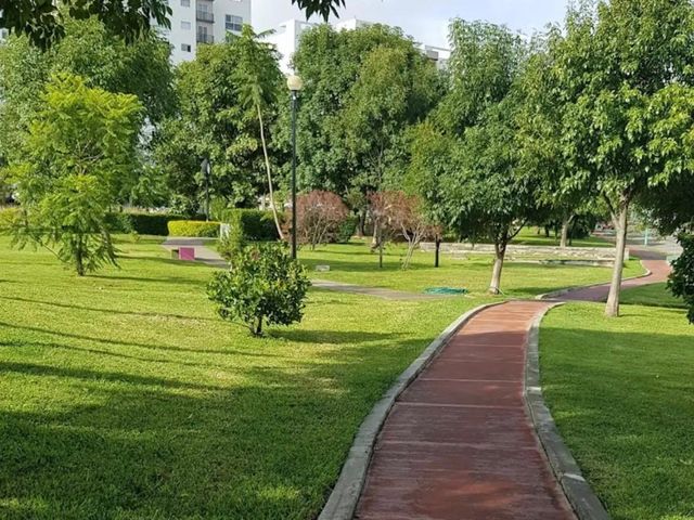 place photo 19