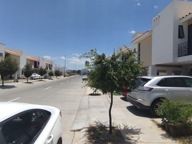 place photo 23