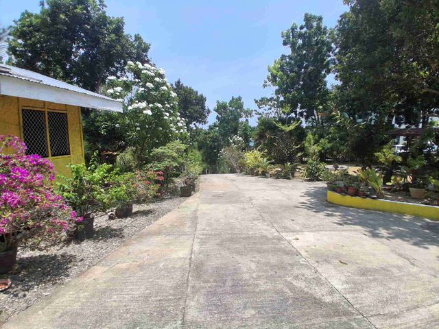place photo 34
